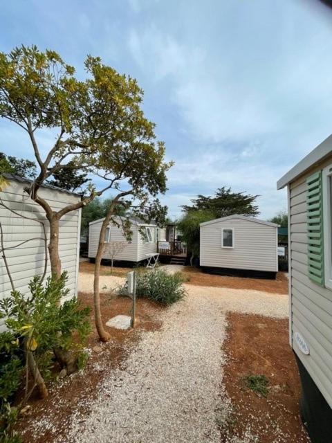 Happy Camp Mobile Homes In Camping Villaggio Lamaforca Carovigno Eksteriør bilde